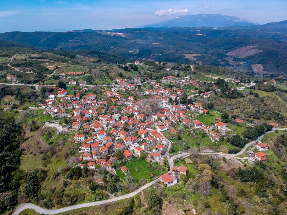 Leonidas Xinovrisi Exteriér fotografie